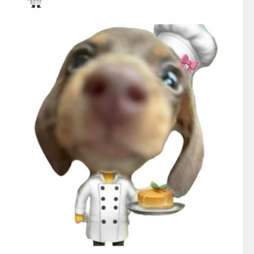 狗狗