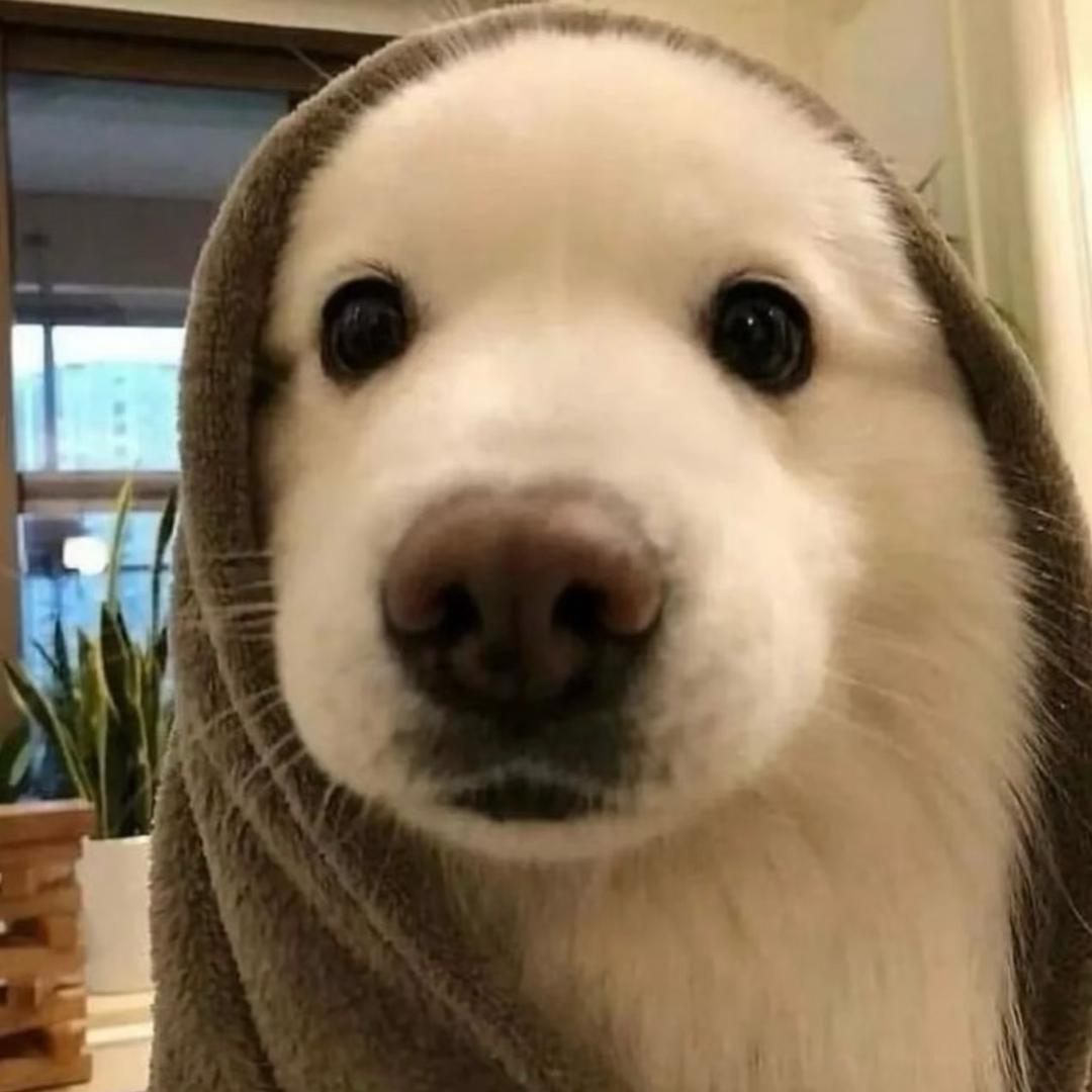 一老师