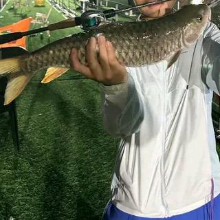 YZC（lure）路亚