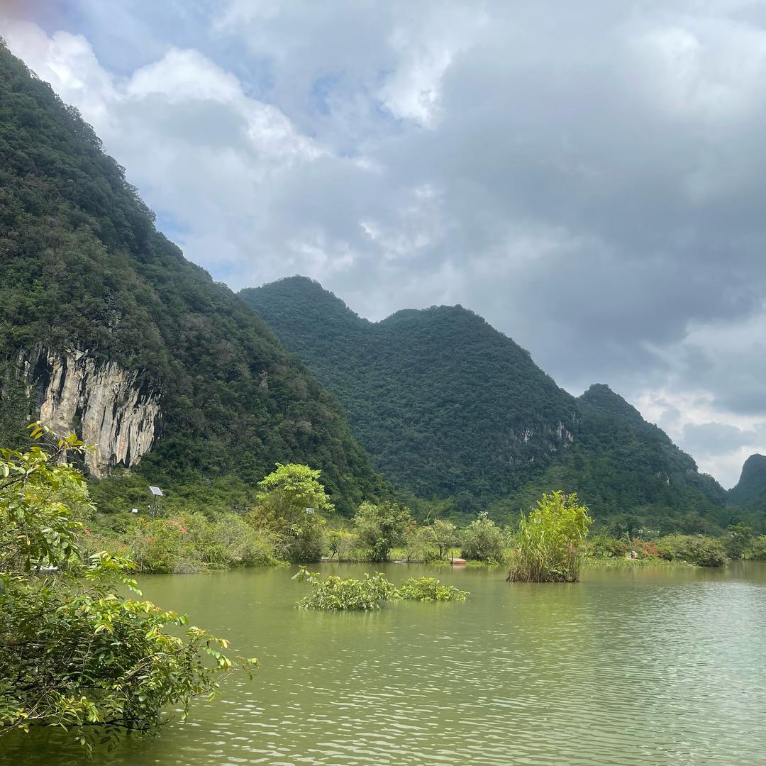 @江夏世家Ling（好物在橱窗）