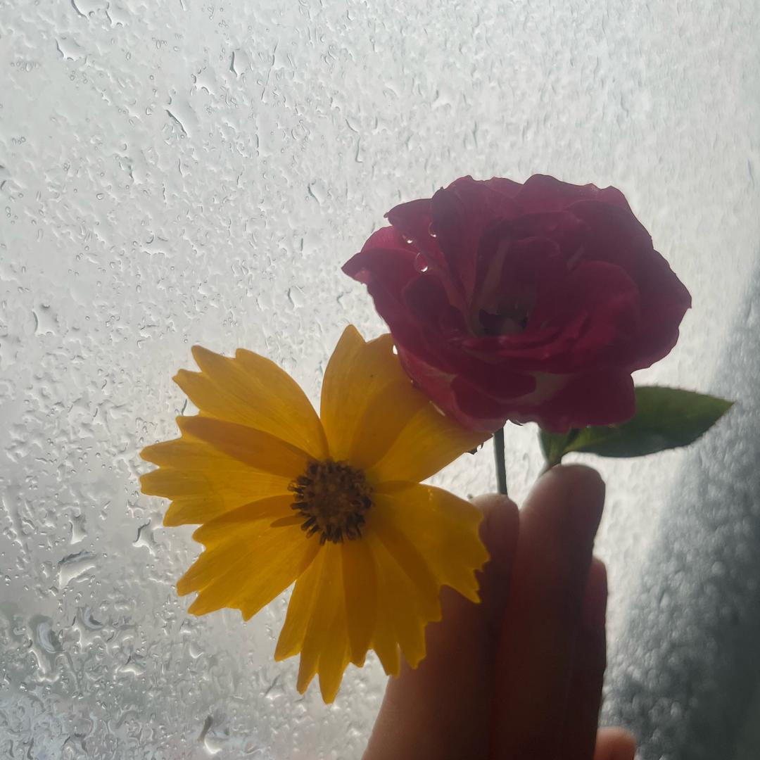 可甜可乐❤️
