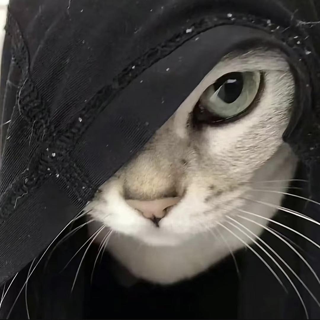 辽宁榔王.