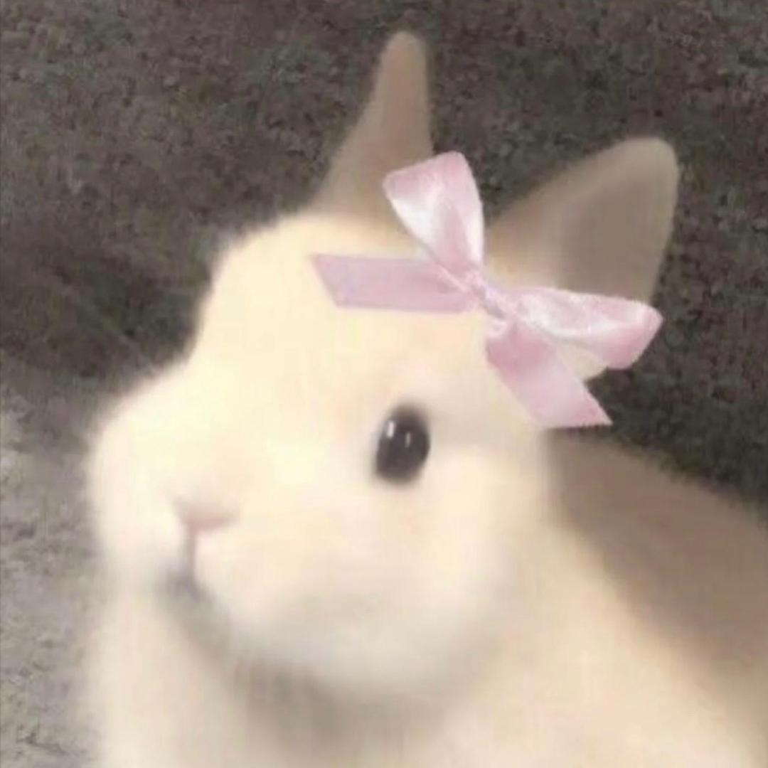momoko🤍