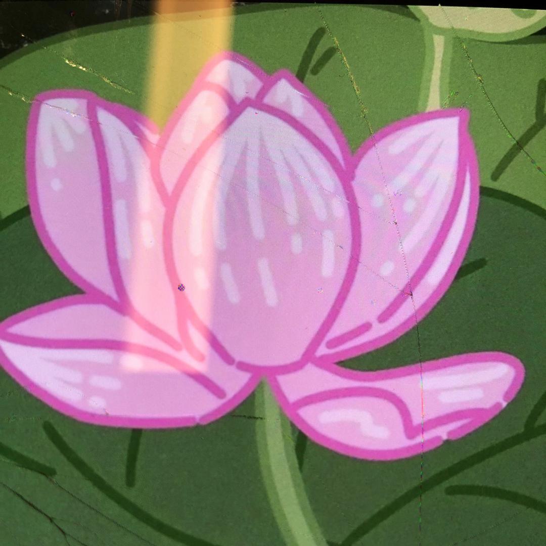不能再吃了啊