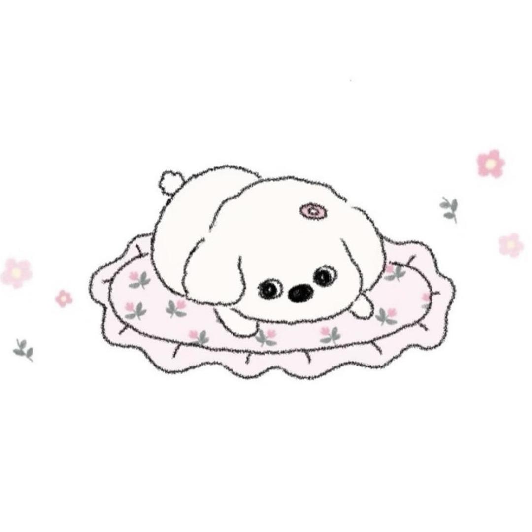 小猫崽儿