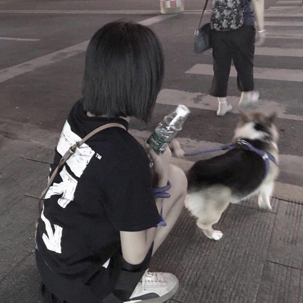 鑫•