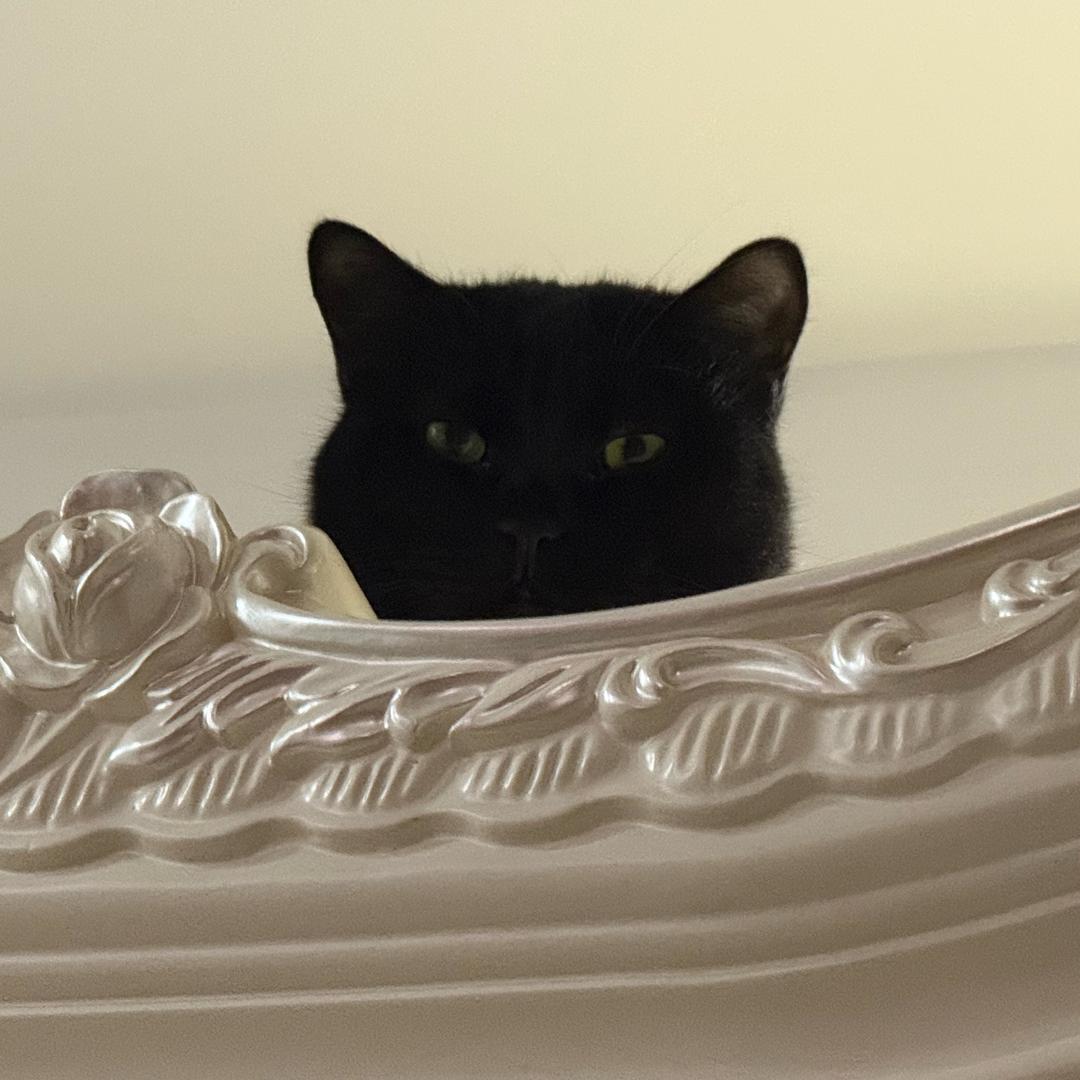 好的好的好的好的