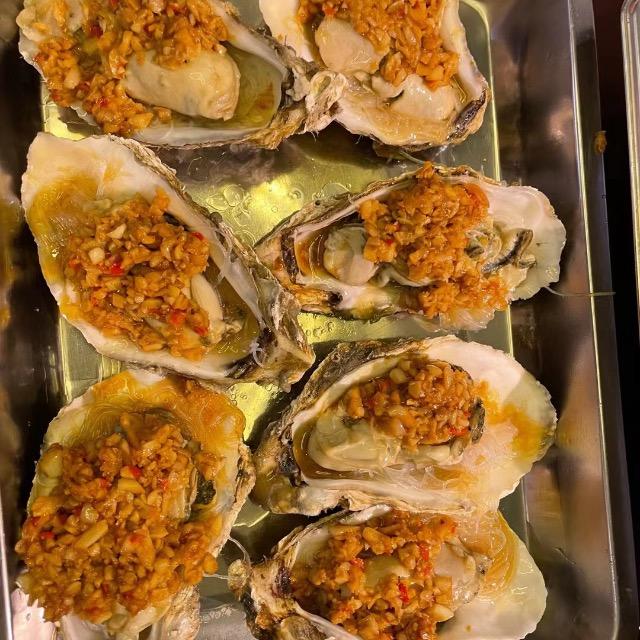 大柳树捡破烂的