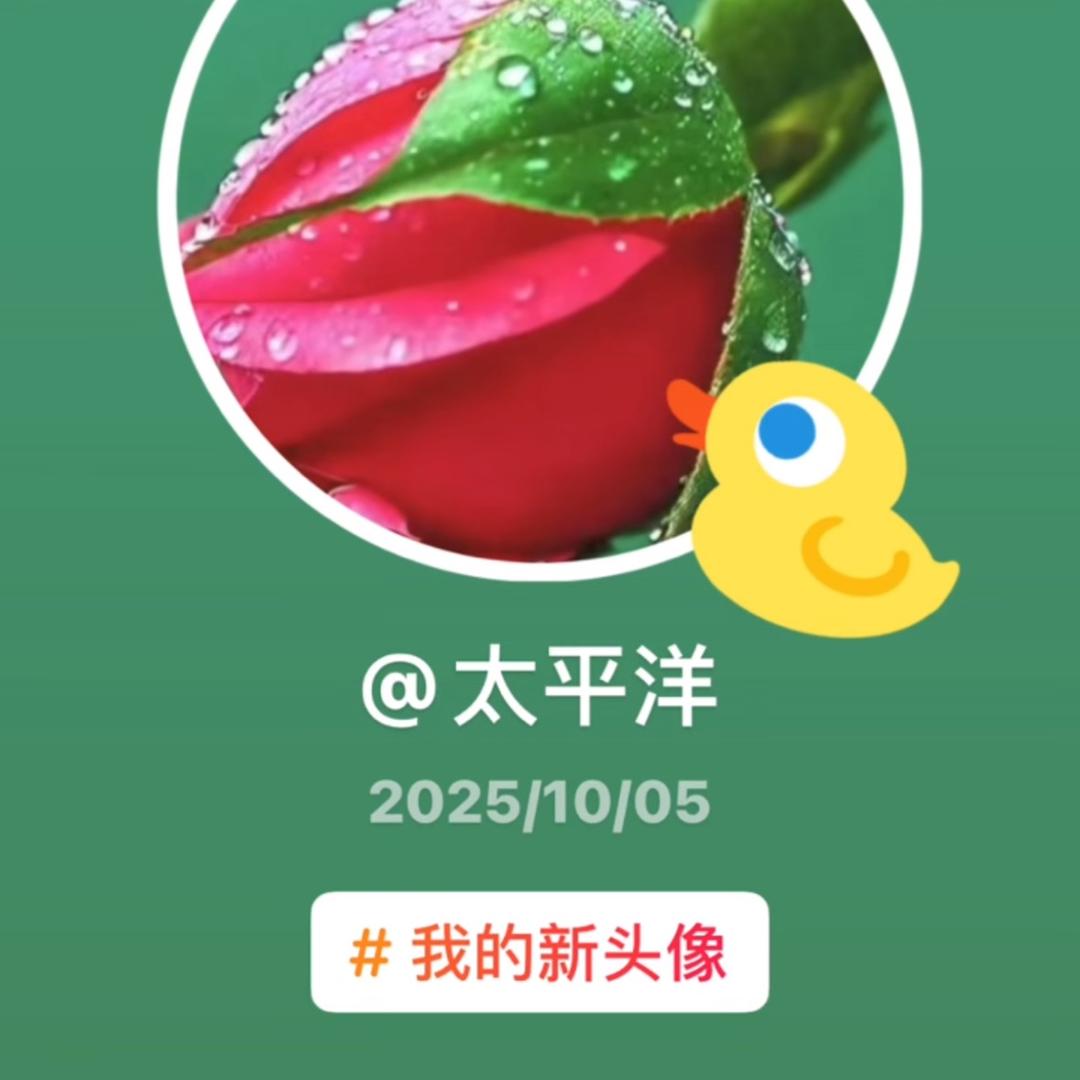 太平洋（我就是我）