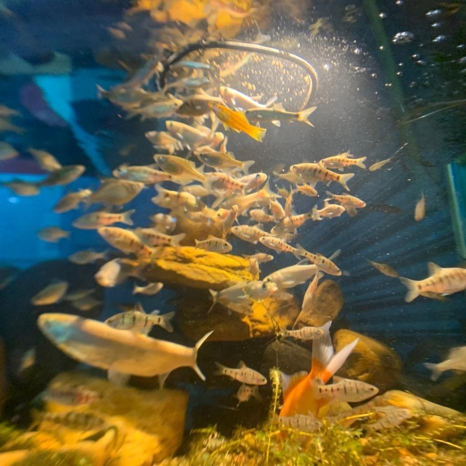 开局获得抓鱼天赋‘’