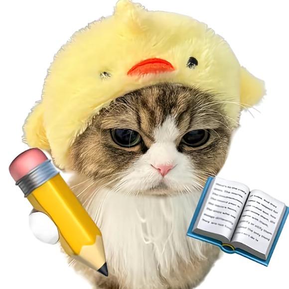 ᥫᩣ༠°