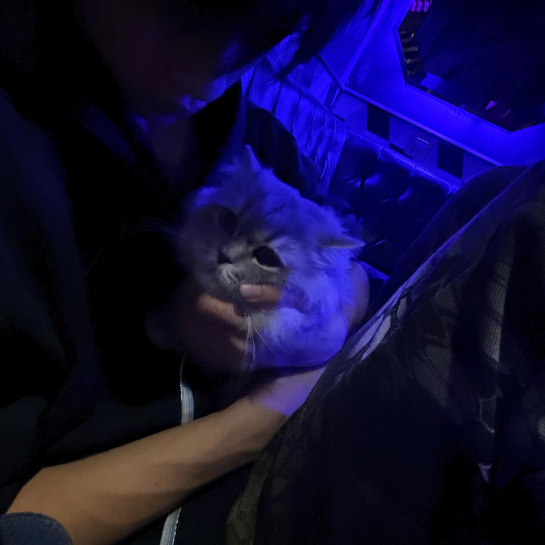 小凯