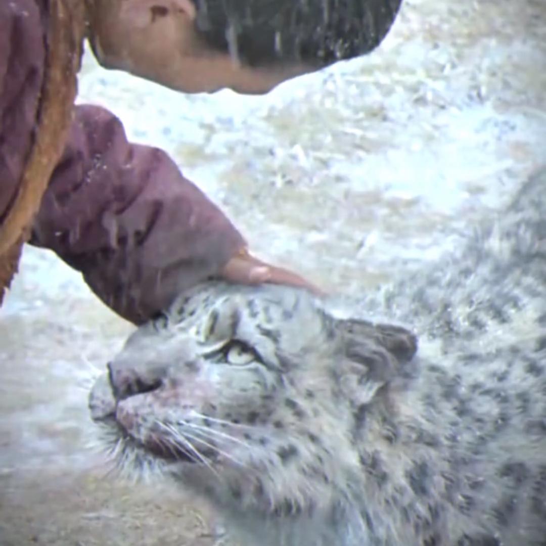 讨厌安比槐@抖音