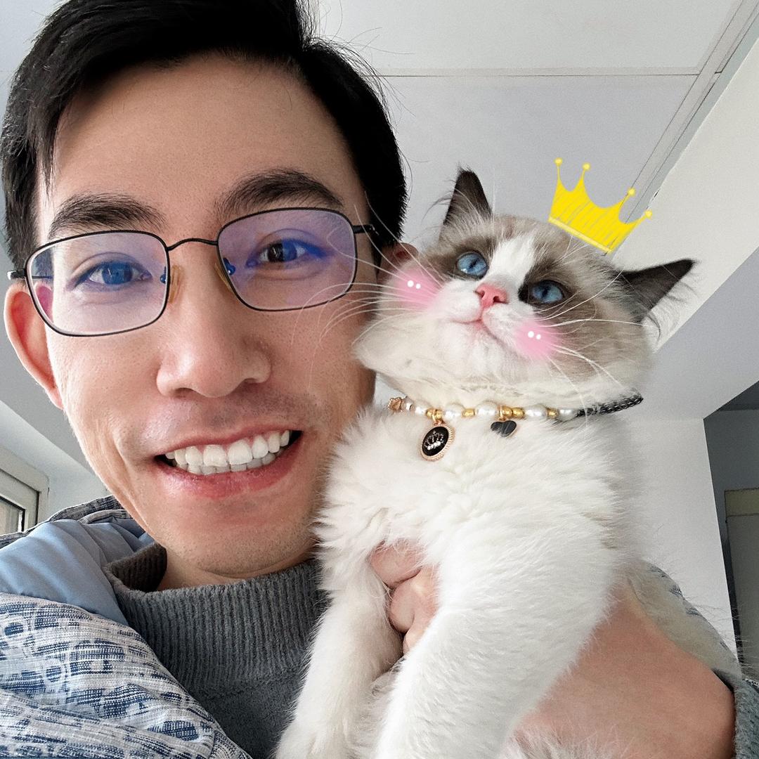金宁的猫语（相亲版）