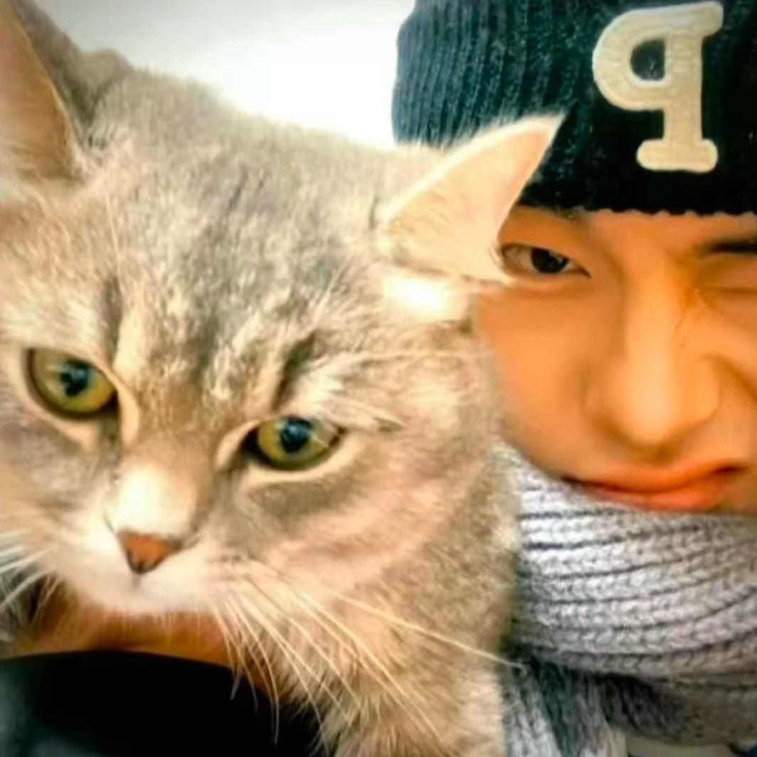 我我我超级酷🐝