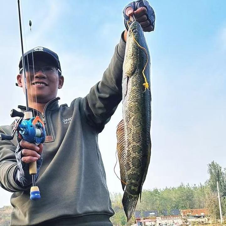 小沈钓鱼