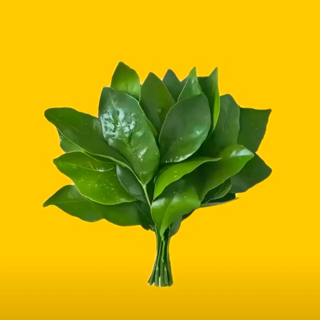 11li.