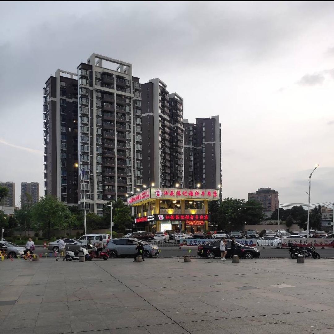 （（再见理想））