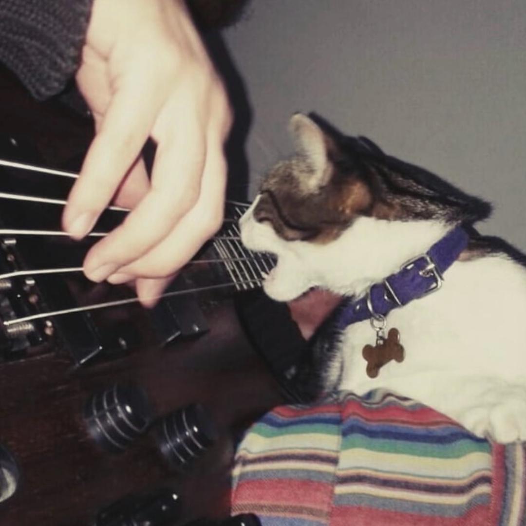 今晚我不关心人类