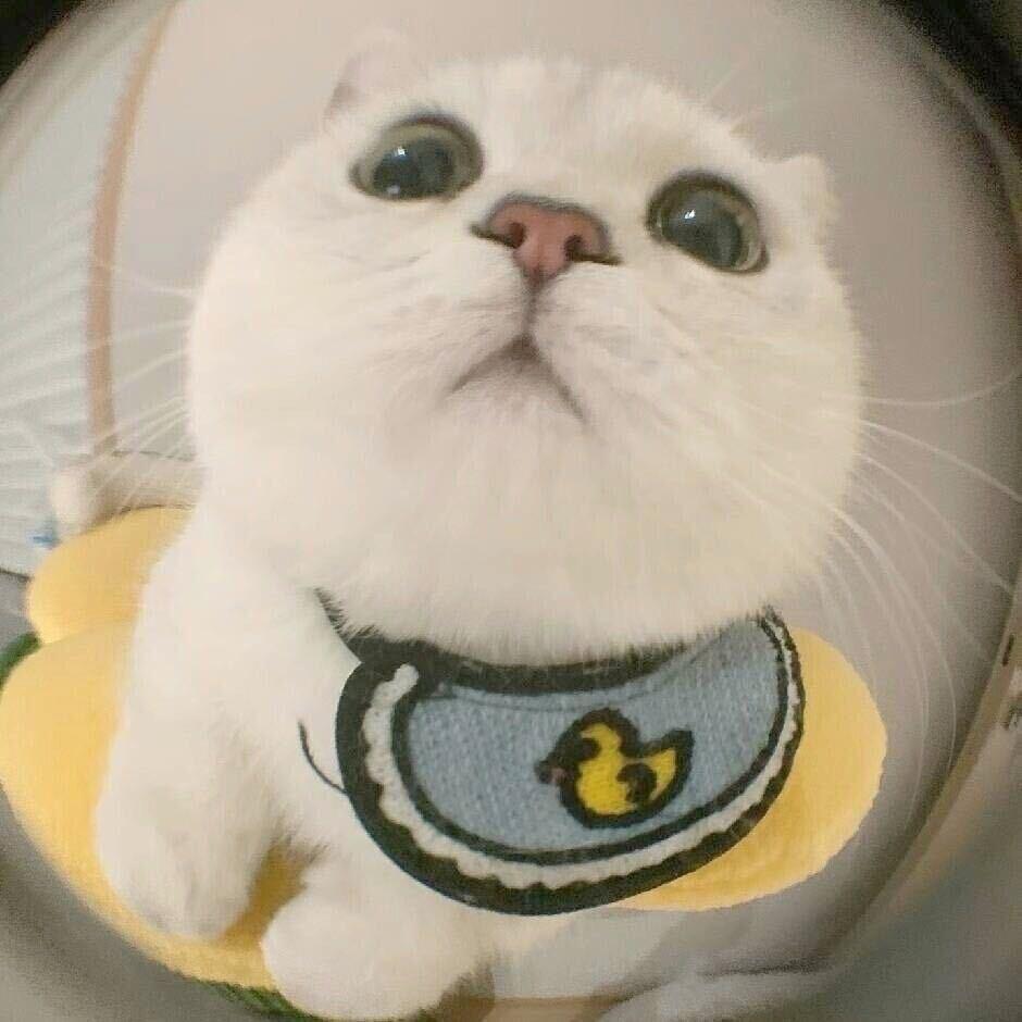 困困【2️⃣2️⃣2️⃣】