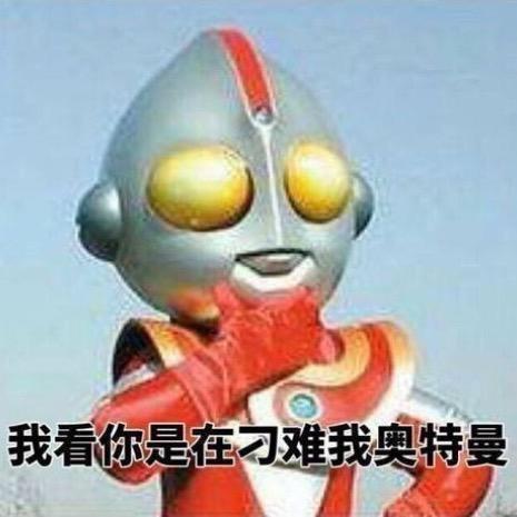 卖猪刷华子