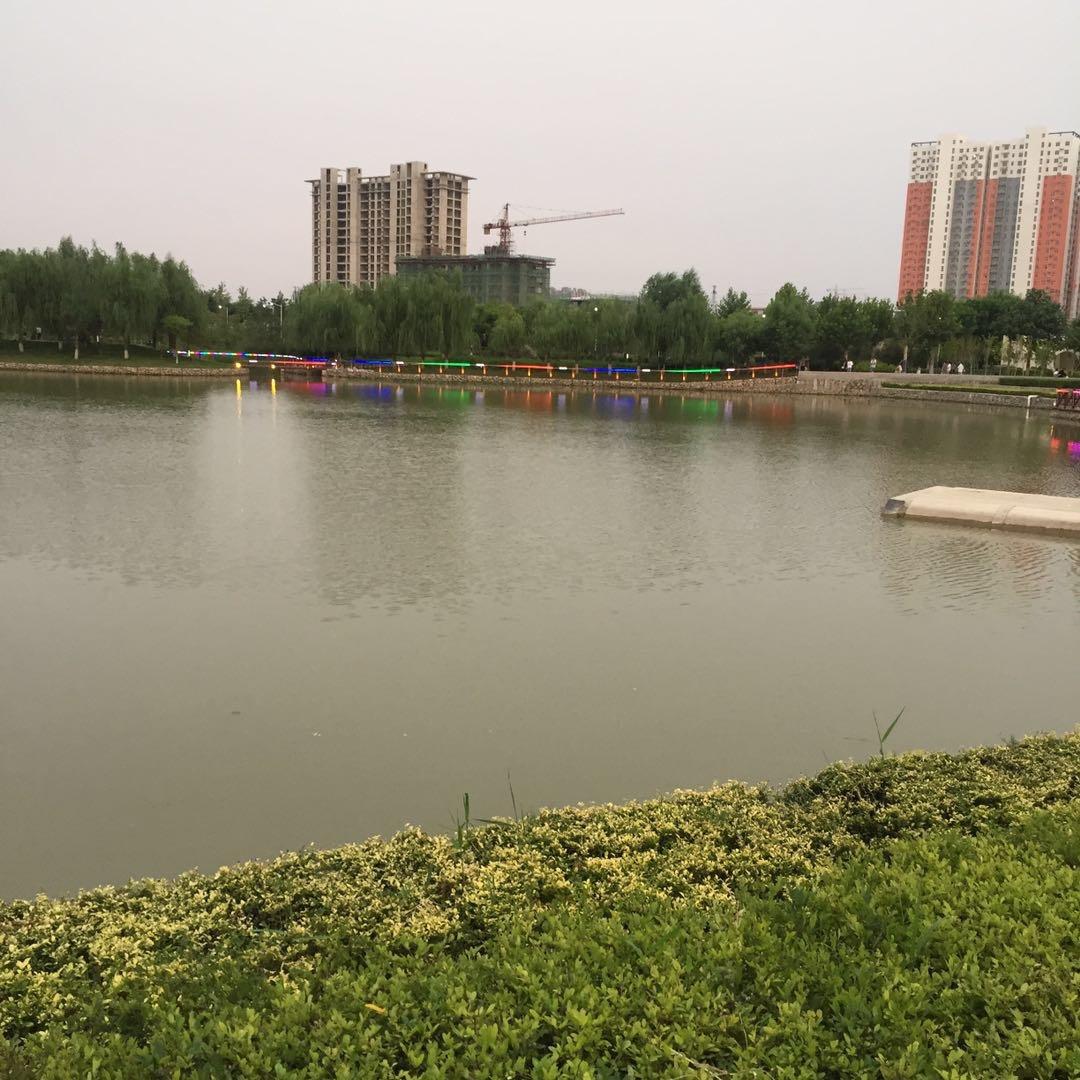 红颜一笑（双鱼座）