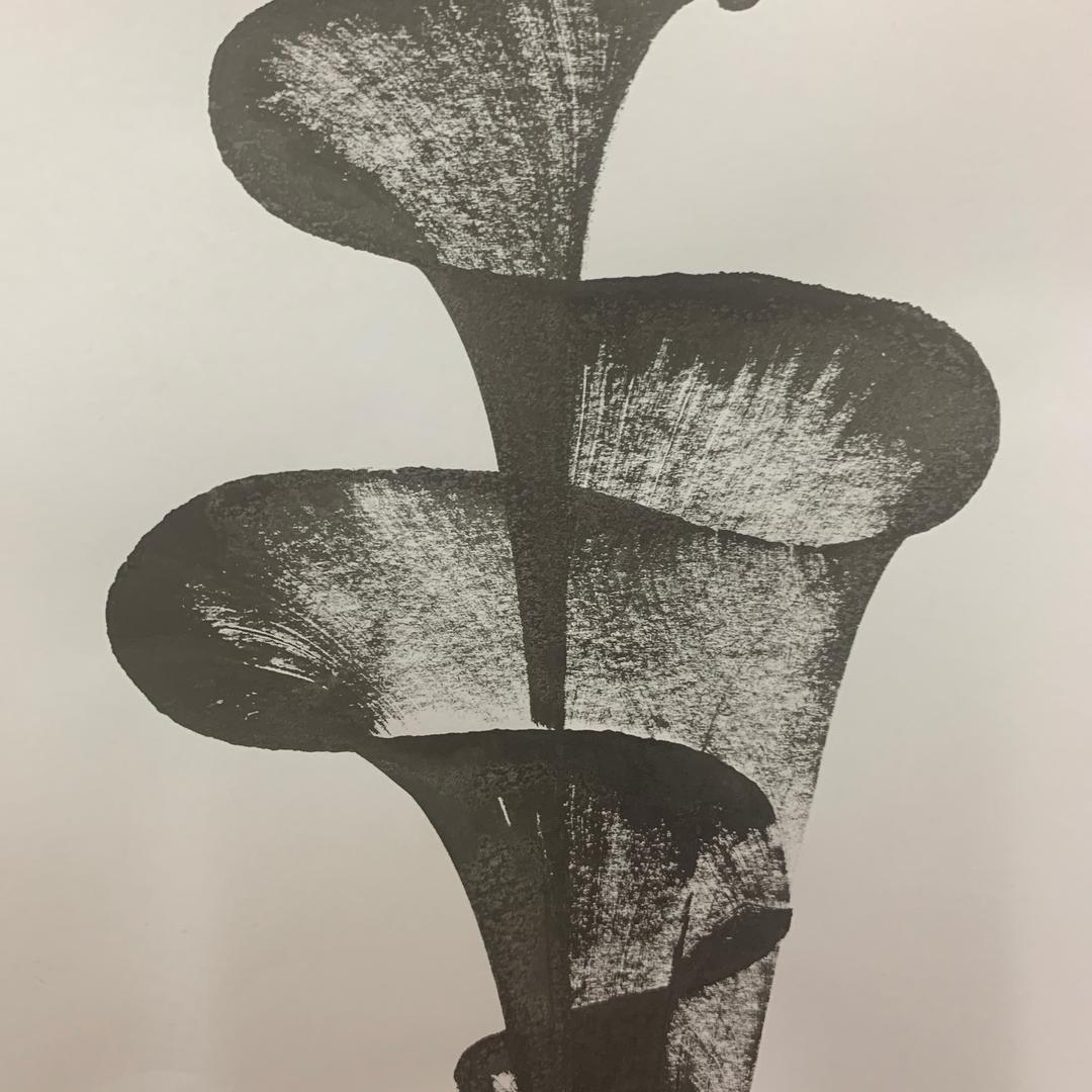 王仙子