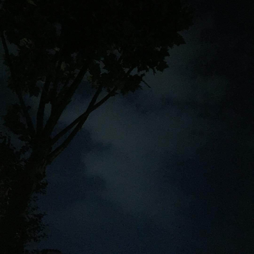 静渔