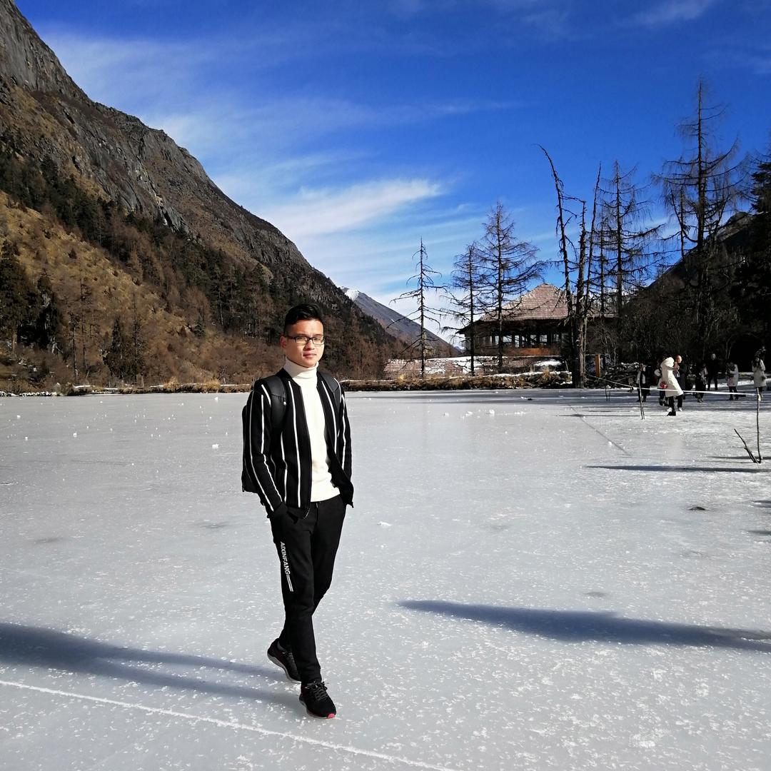 陈三皮是真的皮