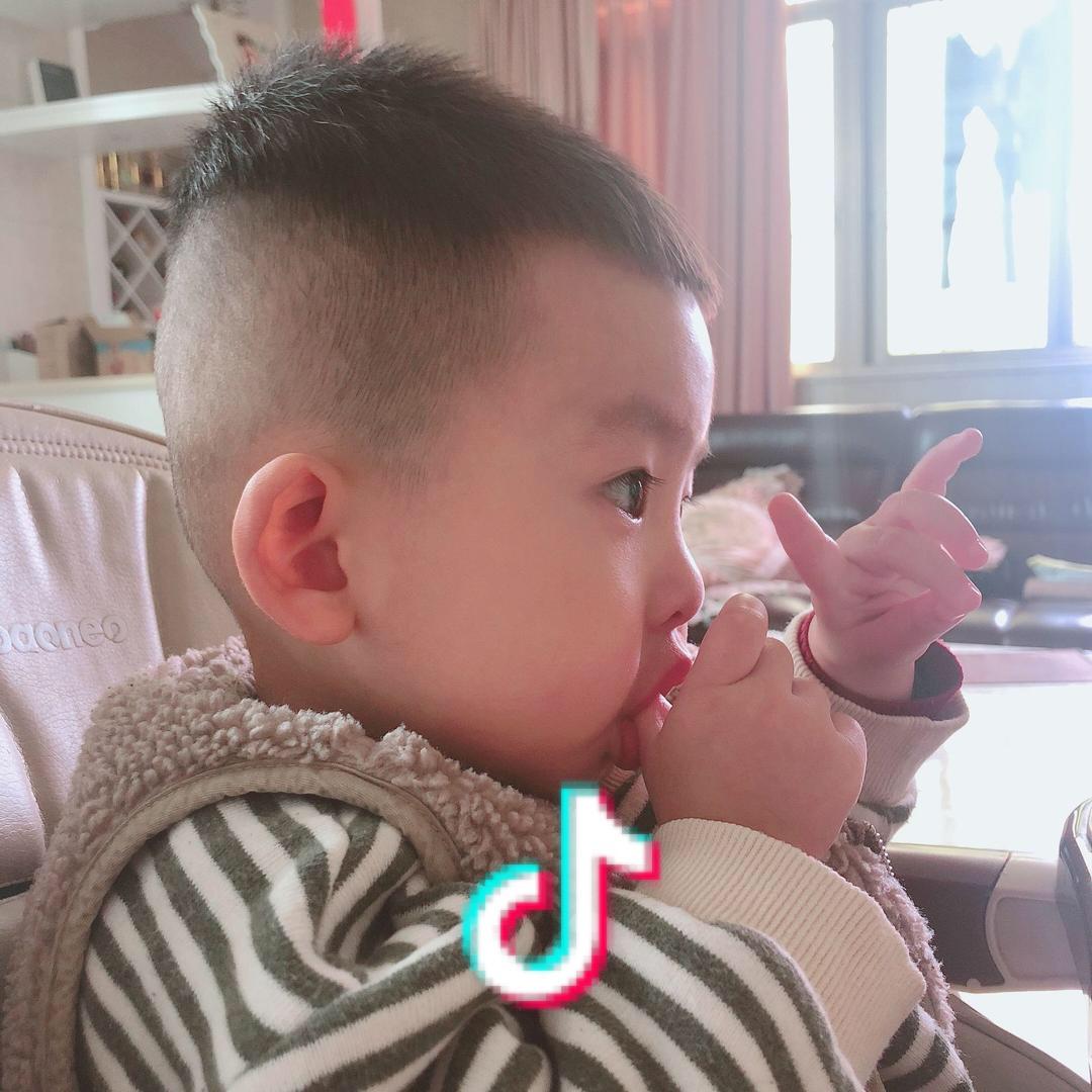 🐨考拉乌乌