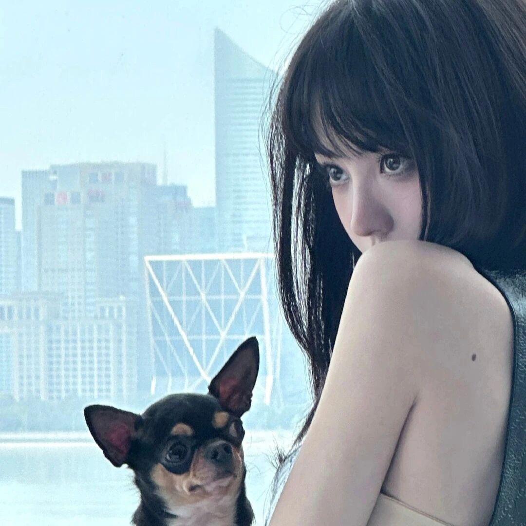小王将军💃