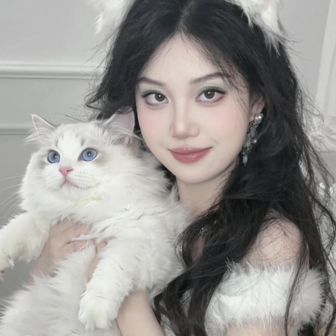 三只猫er