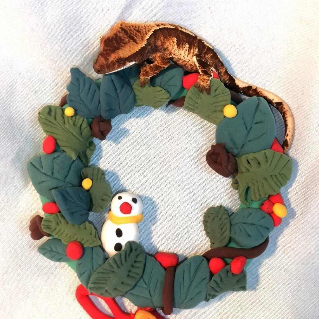 新喀里睫角家（500粉丝送睫角）