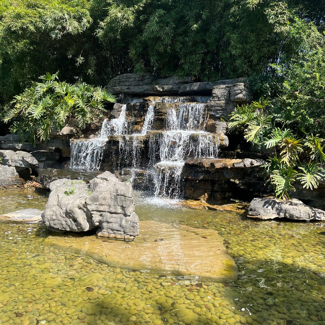 永远不忘记