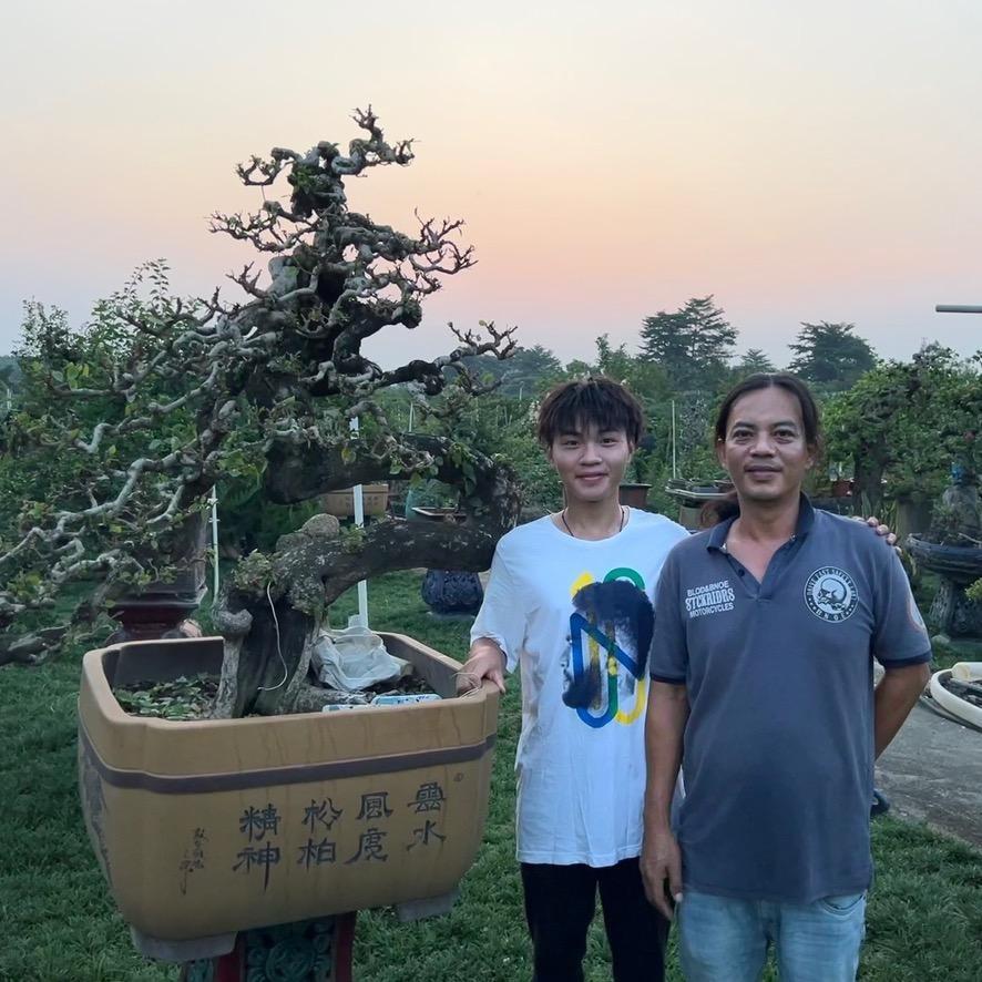 小玖籽金弹子盆景园艺