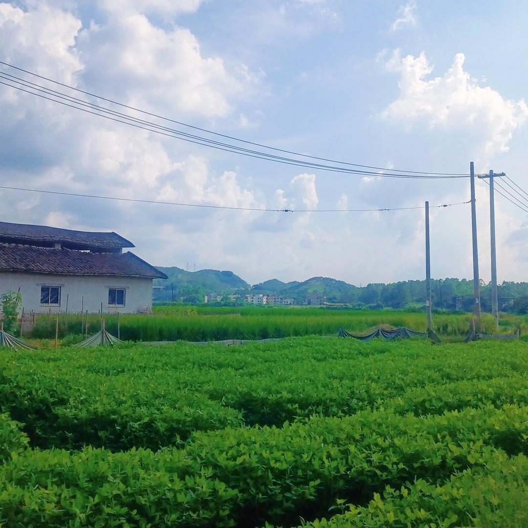 如懿一线旧物件