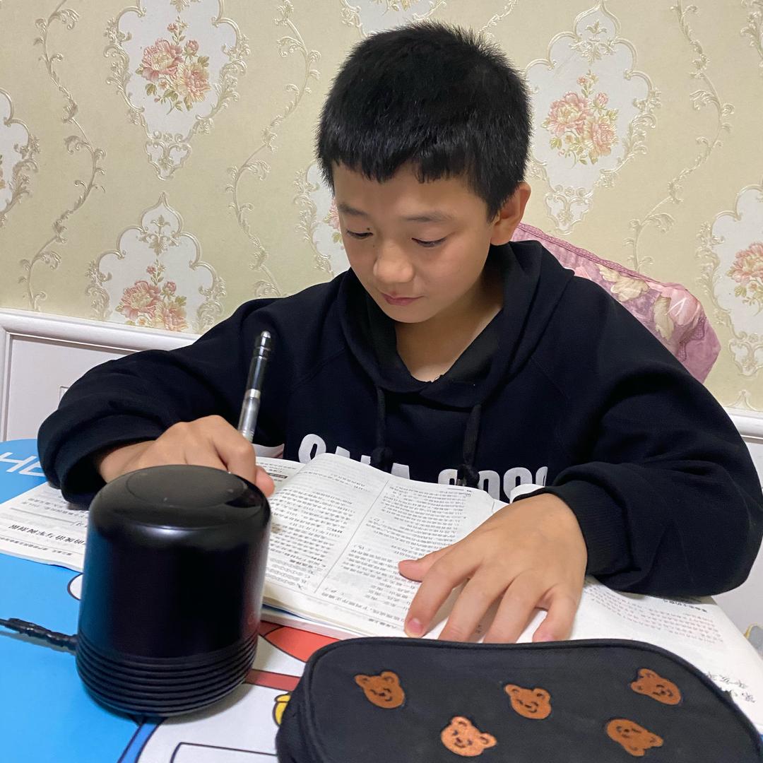 蓝鹰
