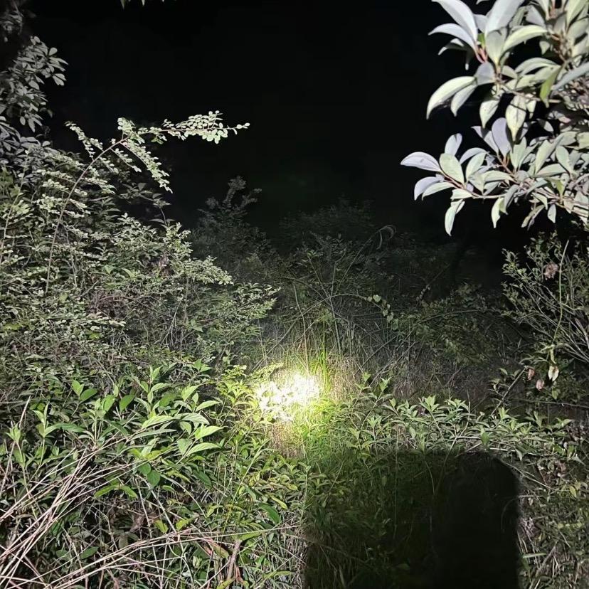 迷你斗地主