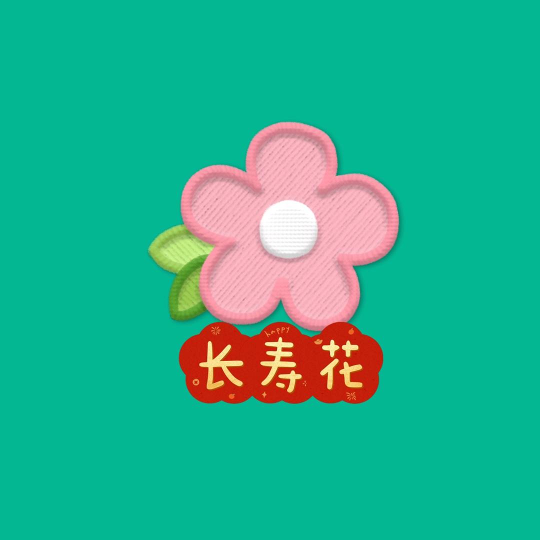 🌈长寿花的世界🌈
