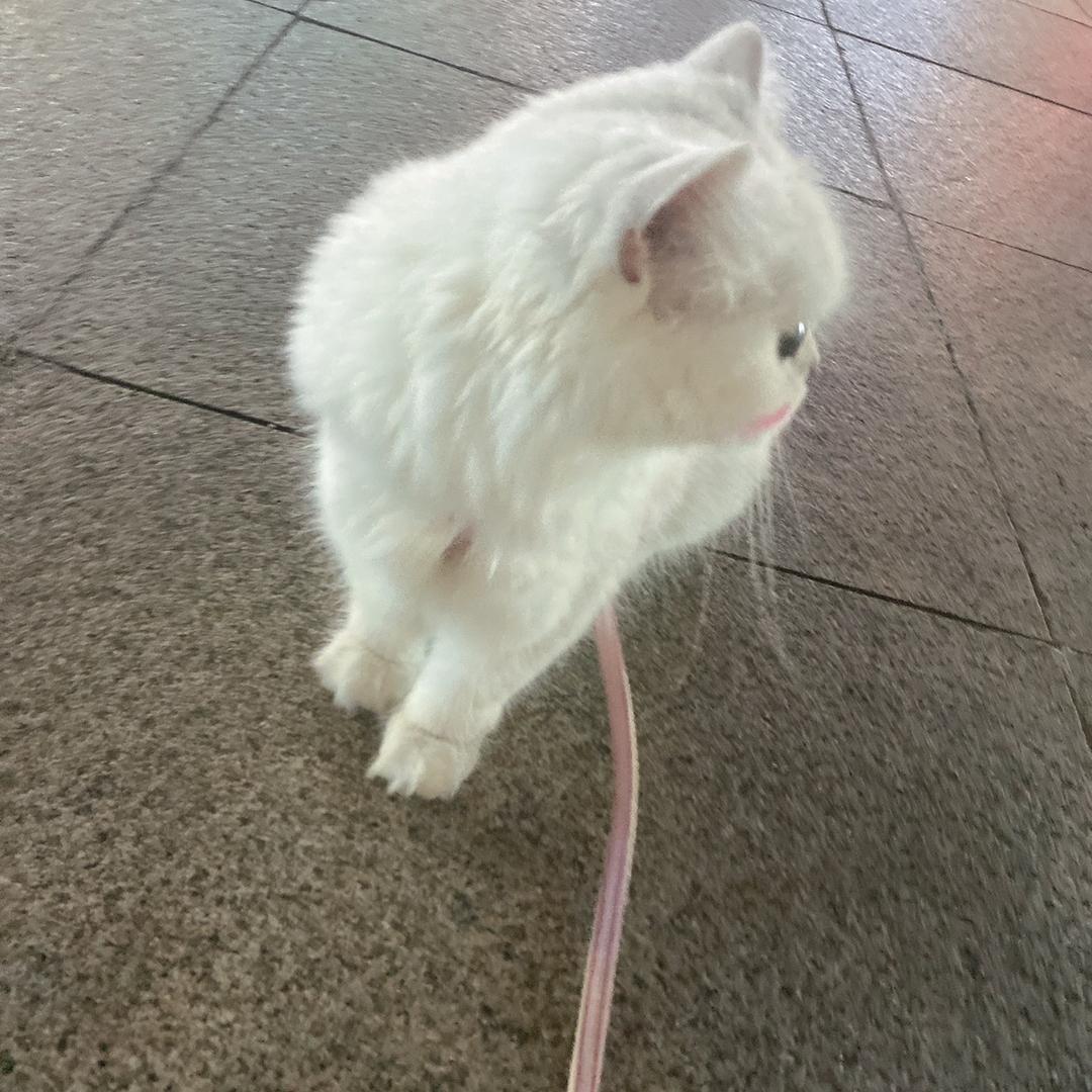 天选物流人
