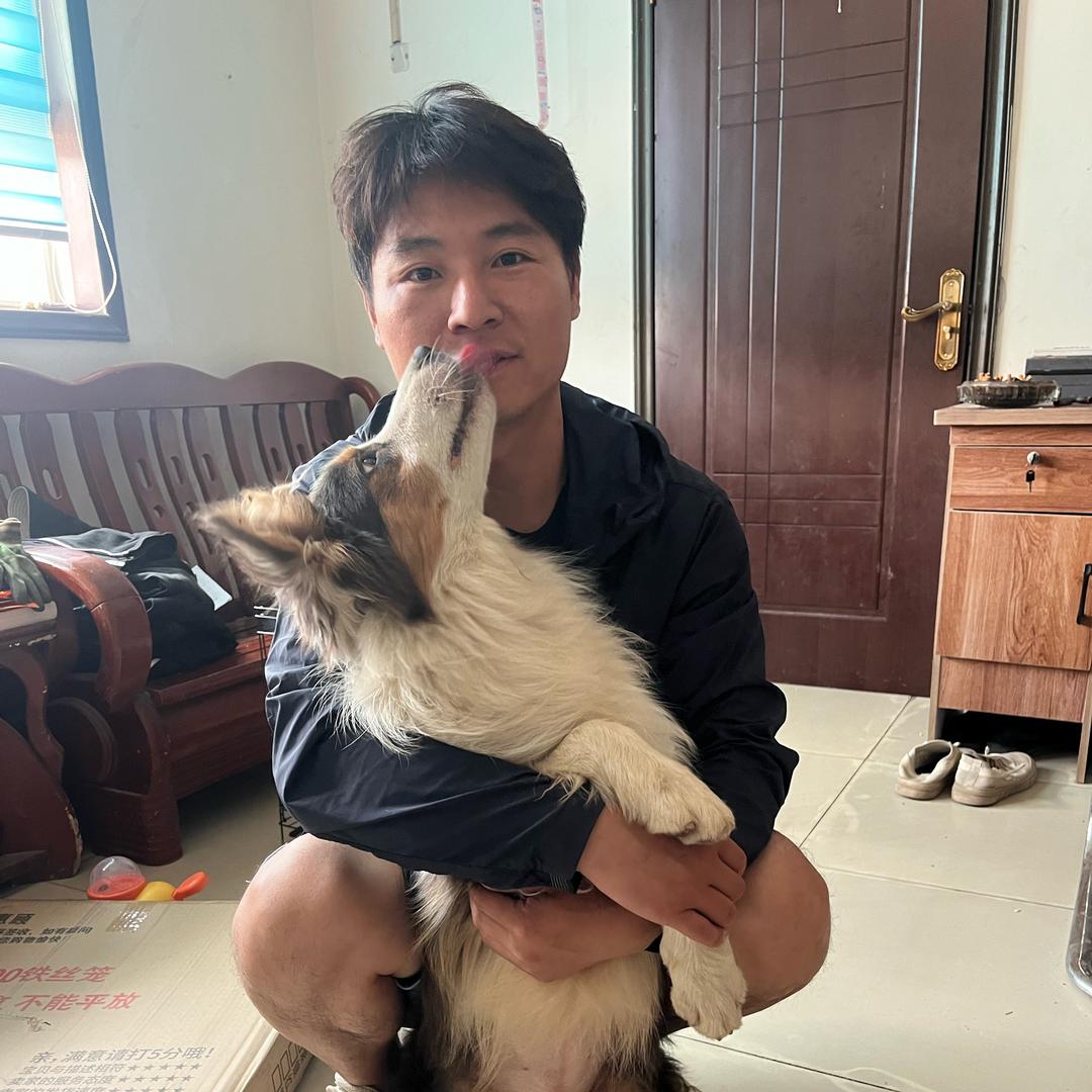 小狗乖乖