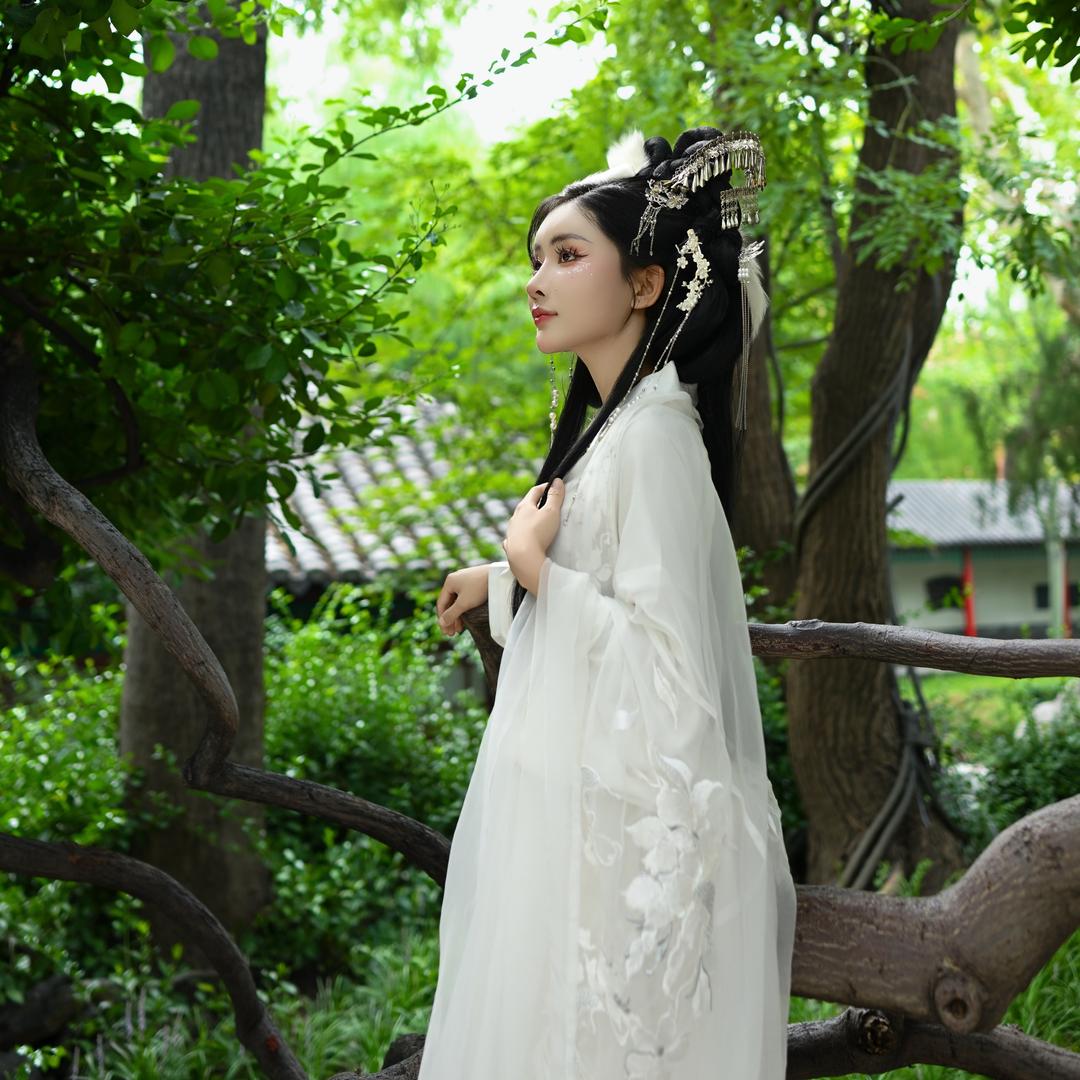 呼伦贝尔小野马