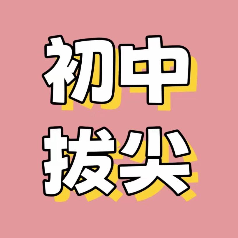 初中拔尖资料