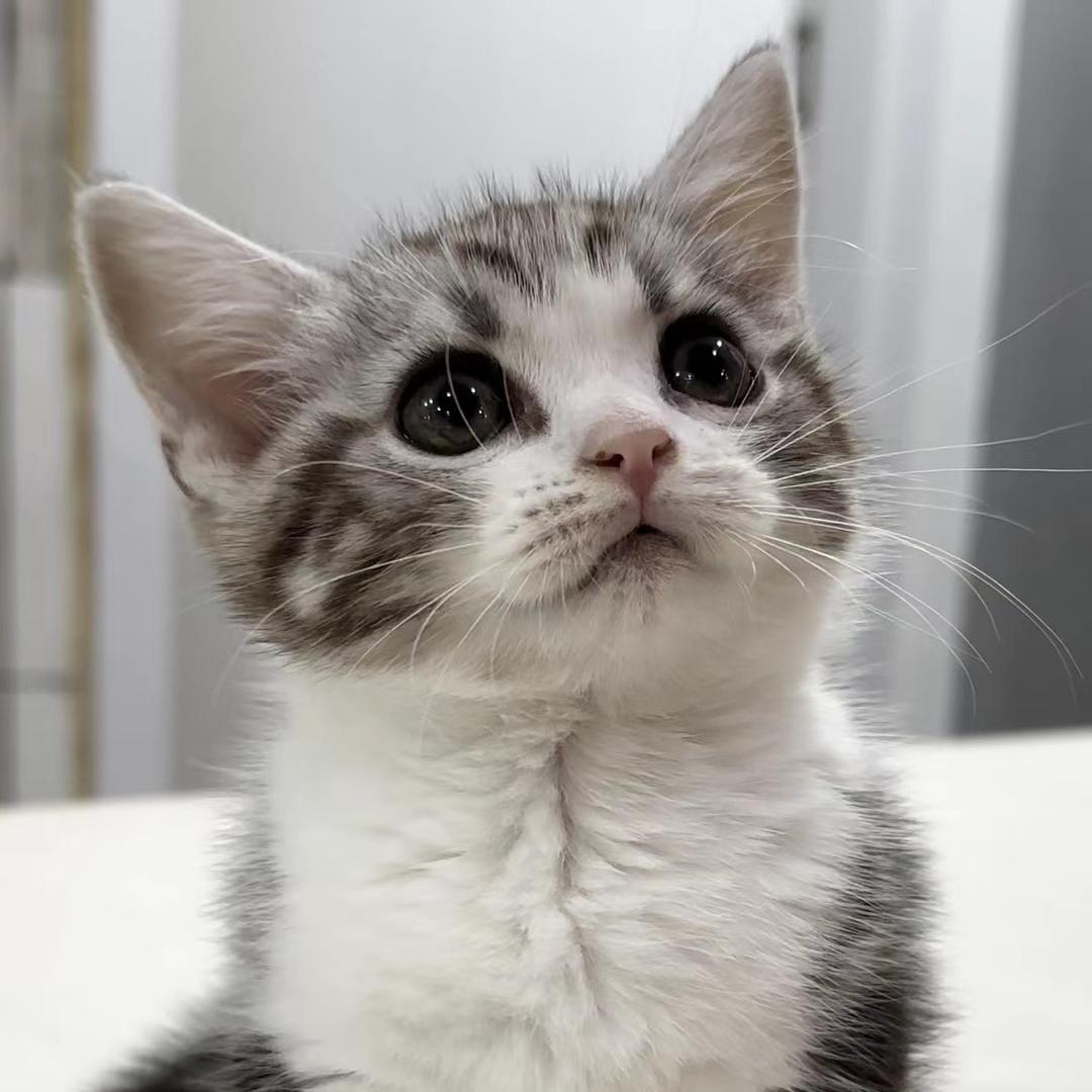 每一帧都是热烈