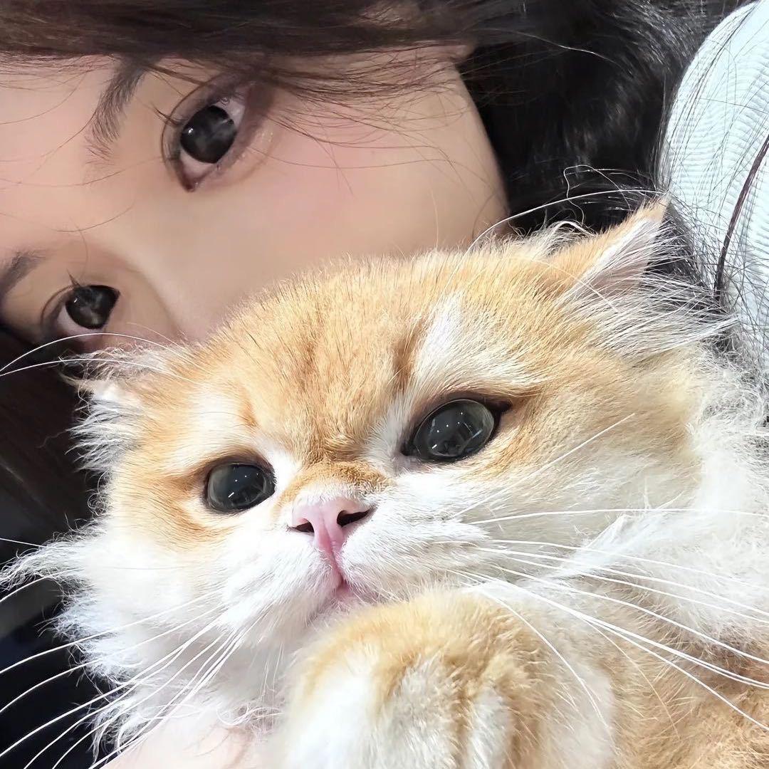 敏玲-