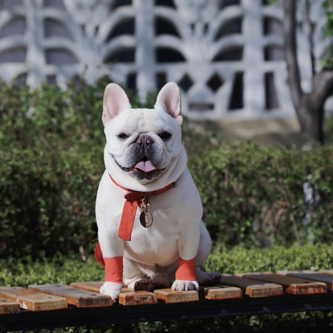 是老白菜呀（碎嘴子版）@抖音
