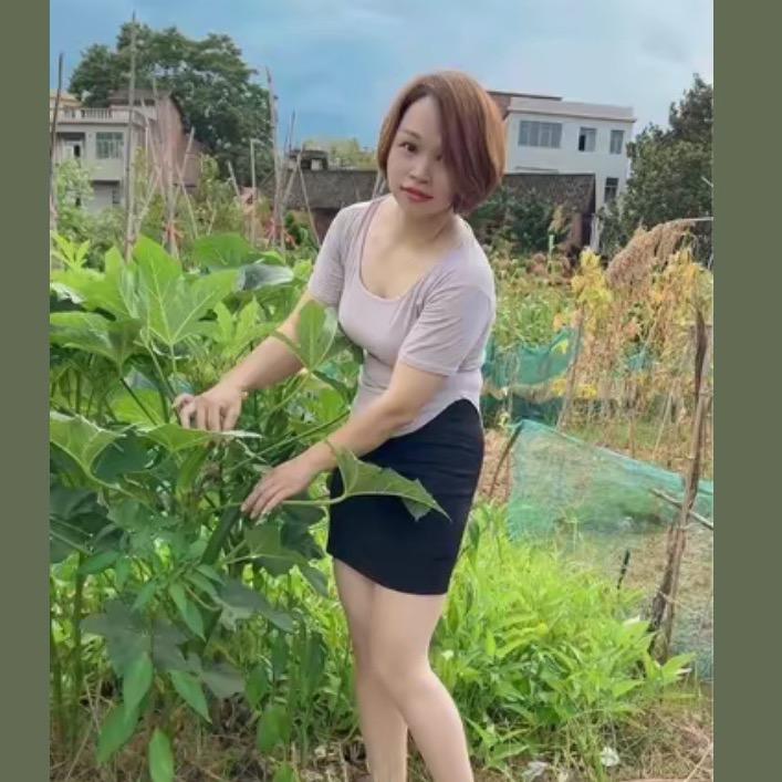 茉莉