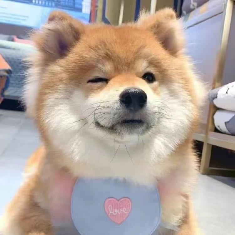小于不爱吃鱼