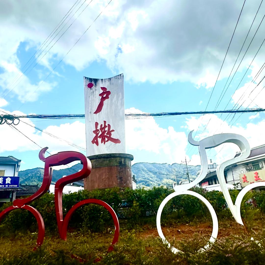 陇川苏益刀具店