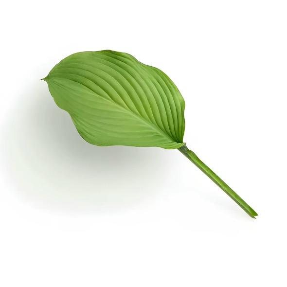 一天吃八顿饭